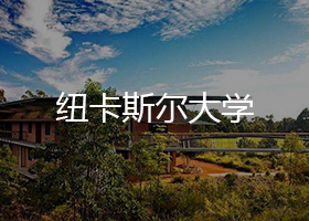 紐卡斯爾大學